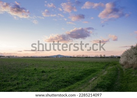 A wild field with grass on the background of a mountain in the rays of the evening light