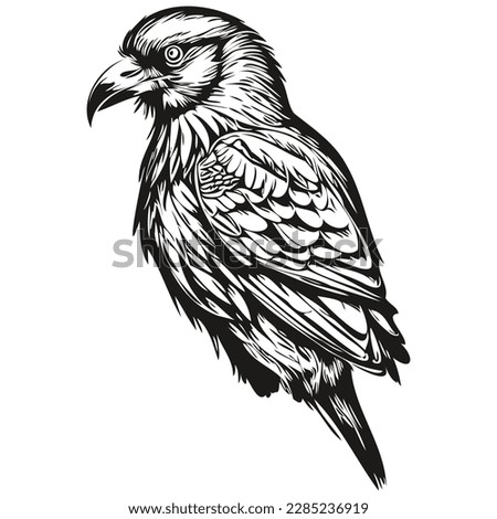 Cute hand drawn Raven, vector illustration black and white corbie
