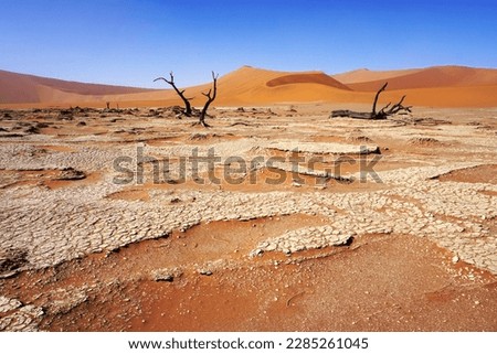  Deadvlei  a white clay pan near Sossusvlei, Namibia that was formed centuries ago when drought and encroaching dunes turned the soil to clay, burned and dried the trees                               Royalty-Free Stock Photo #2285261045