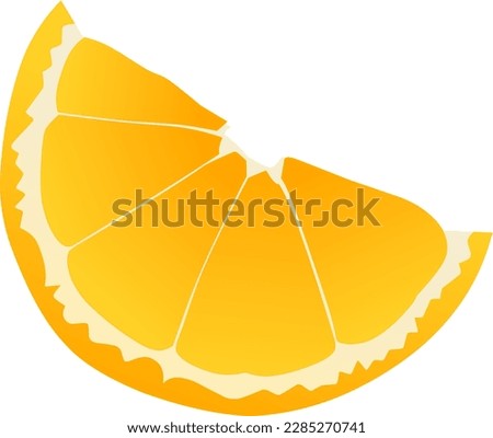 illustration of a slice of fresh orange