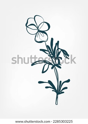 viola wild plant flower grass vector line art elegant isolated clip art isolated