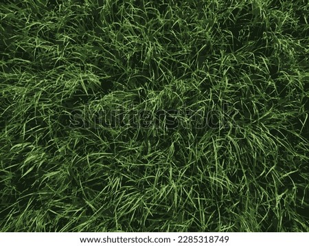 Green leaves closeup texture. Abstract Vector illustration.