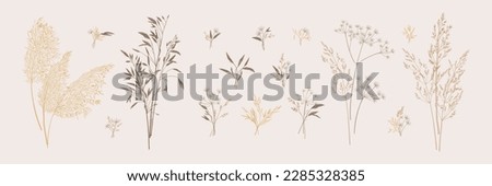 Collection of bouquets of wild herbs. Botanical set with dried grasses. Neutral tones. Vector illustration. Sketch style.  Royalty-Free Stock Photo #2285328385
