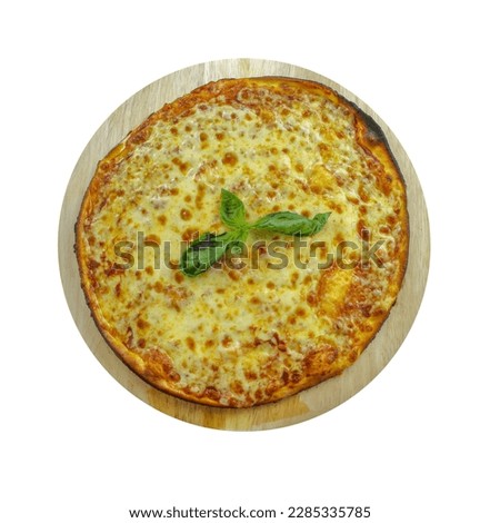 one of delicious pizza is margarita pizza with white background