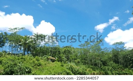 Natural scenery in a tourist spot