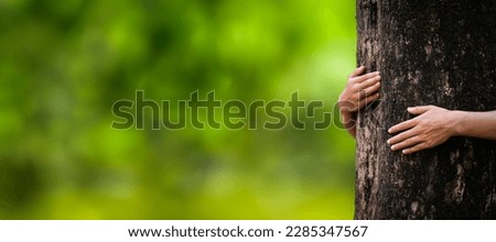 Embrace the big tree green forest in the rainy season nature conservation concept protect the environment Protection from deforestation or climate change, people hugging trees. Royalty-Free Stock Photo #2285347567