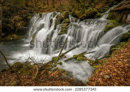 Bohinj Bistrica waterfall and spring in north fresh Slovenia in nice spring forest