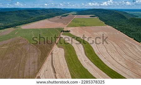 soybean crop in Brazil, large soybean plantations, agriculture in the Brazilian - mato grosso Royalty-Free Stock Photo #2285378325