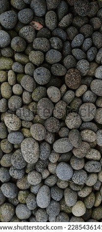 A batch of rocks in front of the house which was photographed using a cellphone camera yesterday.