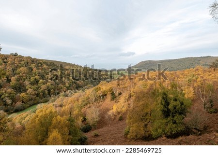 Landscape photo the autumn colours at Horner woods in Exmoor National Park
