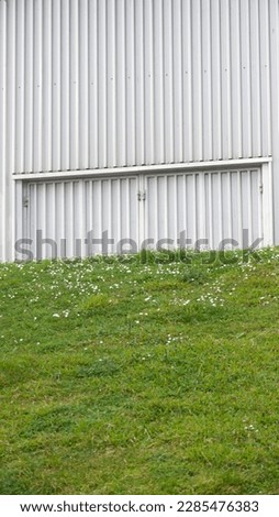 Corrugated metal wall and grass