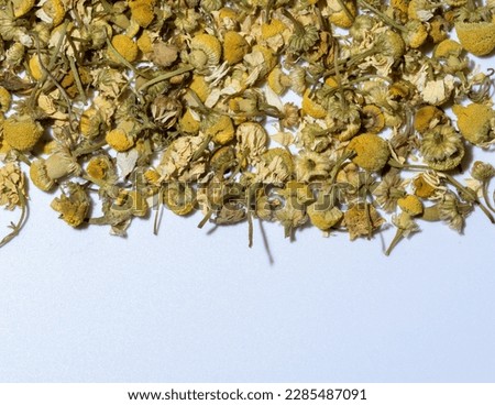 Dried camomile flower heads on a white background