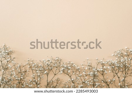 Floral composition with light, airy masses of small white flowers on turquoise beige background, top view, frame. Gypsophila Baby's-breath flowers Royalty-Free Stock Photo #2285493003
