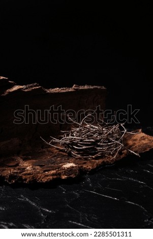 A nest of thin wooden gulls lies on part of the bark of a large tree. Black background with free space