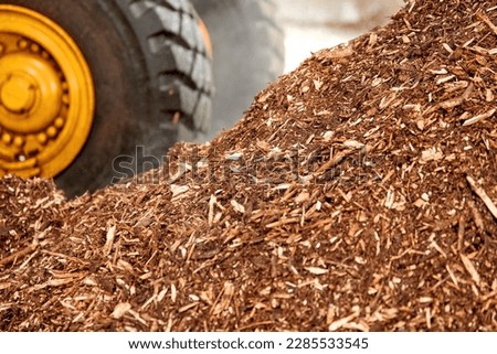 Biomass fuel for combustion in a thermal power plant. A pile of wood chips, in the background a part of a yellow large wheel of a loader for its transport. Solid Biomass energy source." Royalty-Free Stock Photo #2285533545