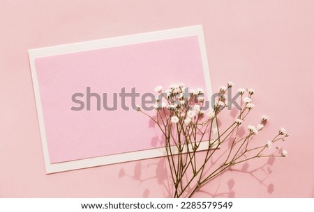 Mockup of pink card with gypsophila on pink background.