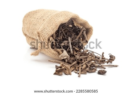 Close-up of Dry Punarnava (Boerhaavia diffusa) roots and leaves, spilled out from a laying jute bag over white background.