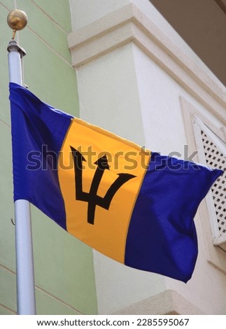 Real flag of Barbados pictured in Barbados, waving in the wind