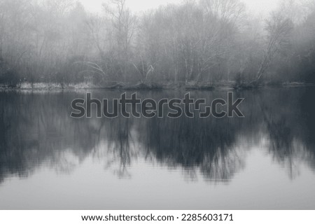 Black and white photograph of a pond with trees reflected in the water during a foggy morning