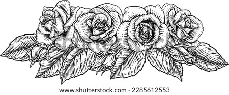 A rose flower design in a woodcut vintage retro style