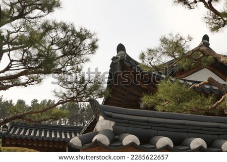 A picture of traditional Korean architecture with pine trees.