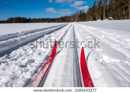 Skis in a ski track with forest and blue sky out of focus in the background, picture from  vasternorrland sverige.
Selective focus.