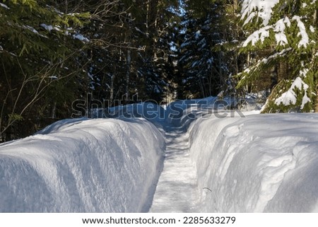 A small shortcut in the snow through the forest on the way to the store.
Picture from vassternorrland sweden.
Selective focus.