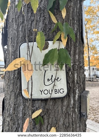 “Love you big” sign nailed to a tree with beautiful vines interlaced 