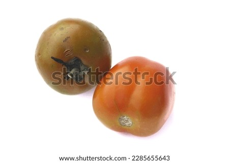 Tomato isolated on white background. with a clipping path. Full depth of field.