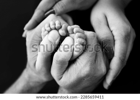 Feet of a tiny newborn close up. Children's foot in the hands of mother, father, parents. Little baby legs. Mom and her child. Happy family concept. Black and white image of motherhood stock photo