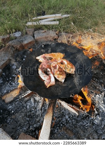 Appetizing carp steaks are cooked on a fire in nature. Roasted carp in nature.