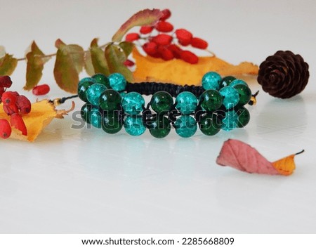 Colorful friendship bracelet and leafs. Colorful friendship bracelet on a white