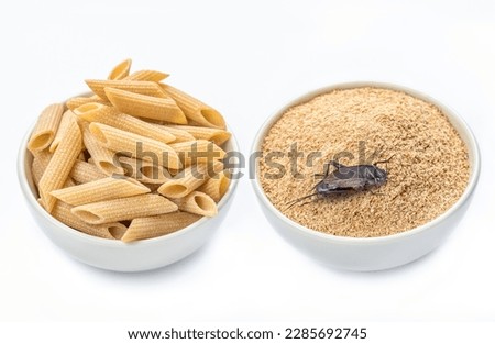 Crickets flour pasta and crickets powder for eating in white ceramic bowl, isolated white background. Close up. Source of protein. Organic food of the future. Entomophagy concept. Hight quality photo Royalty-Free Stock Photo #2285692745