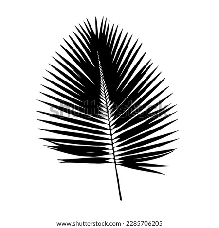 Palm Leaf Silhouette. Vector Illustration EPS10
