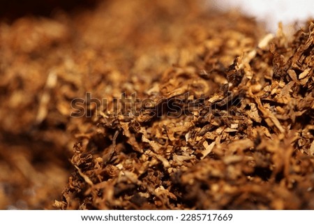 Rolling dried tobacco leafs close up background big size high quality stock photos smoking addict self made cigarettes and joints