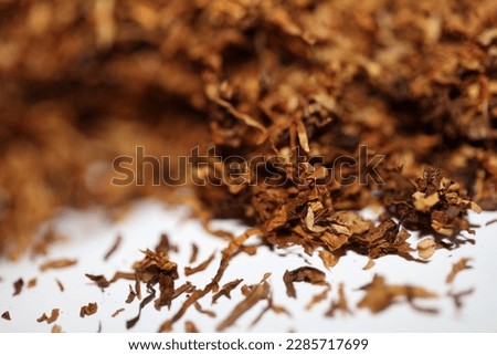 Rolling dried tobacco leafs close up background big size high quality stock photos smoking addict self made cigarettes and joints
