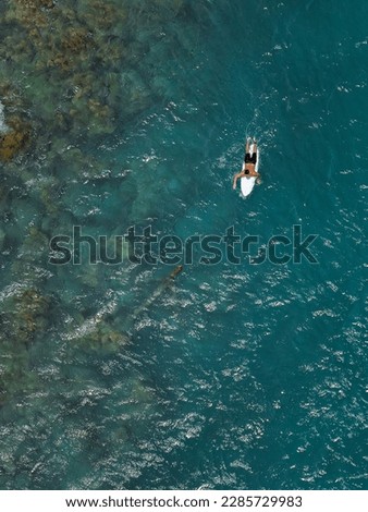 Surfer in the blue transparent ocean in Hawaii from above, aerial drone shot.