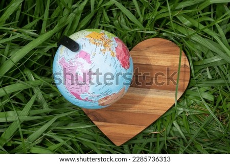 top view  of earth globe on green grass showing the United States, Canada and Caribe -  earth day