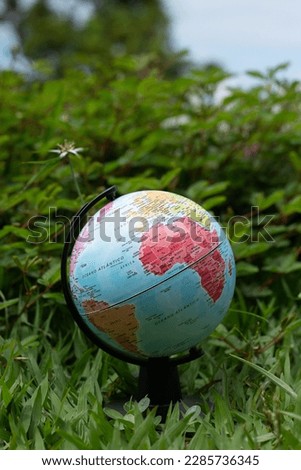 earth globe on a green grass background