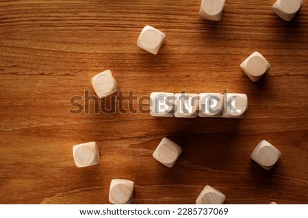 There is wood cubes with the word BNPL. It is an abbreviation for Buy Now, Pay Later as eye-catching image.
