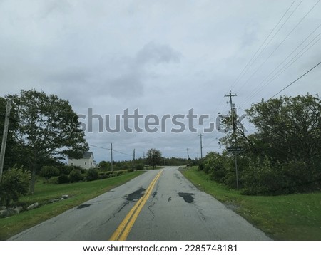 A country road on a cloudy day with vegetation thriving on both sides of the road.