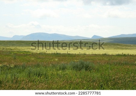 A vast steppe with tall grass at the foot of a high mountain range under a cloudy summer sky. Khakassia, Siberia, Russia.