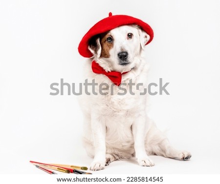 Dog sitting in a red beret with tassels on a white background. The concept of creativity, art.