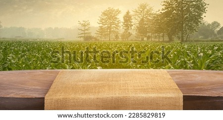 Sweet corn field and wooden table at Agriculture corn. 3D illustration, of free space for your texts and branding. Royalty-Free Stock Photo #2285829819