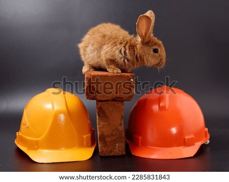 builder's day, symbol of the year easter bunny in a construction helmet on a white background 2023