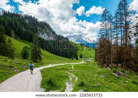 Landscape Scenery, Mountain Jenner, Route Mitterkaseralm. Man is Hiking  in the National park Berchtesgadener Land in Summer, Germany. Royalty-Free Stock Photo #2285833733