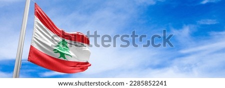 Flag of Lebanon The presence and position of the Cedar in the middle of the flag is directly inspired by the Lebanese cedar (Cedrus libani). The Cedar is the symbol of Lebanon