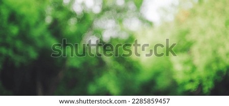 Bokeh of vivid leaves of trees in sunlight. Natural green background. Blurred rich greenery with copy space. Abstract texture of defocused lush foliage in sunny day. Backdrop of scenic nature in blur. Royalty-Free Stock Photo #2285859457