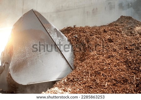 Solid Biomass fuel for combustion in a Biomass boiler of cogeneration power plant. A pile of wood chips and barks in fuel storage. Large wheel loader with   filling up the bucket for its transport.  Royalty-Free Stock Photo #2285863253