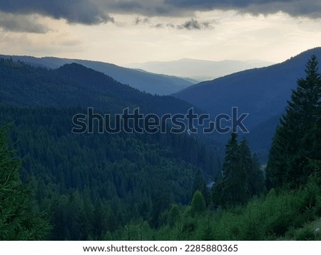 Beautiful Landscape with Carpatian Mountains surounded by  fir-tree Royalty-Free Stock Photo #2285880365